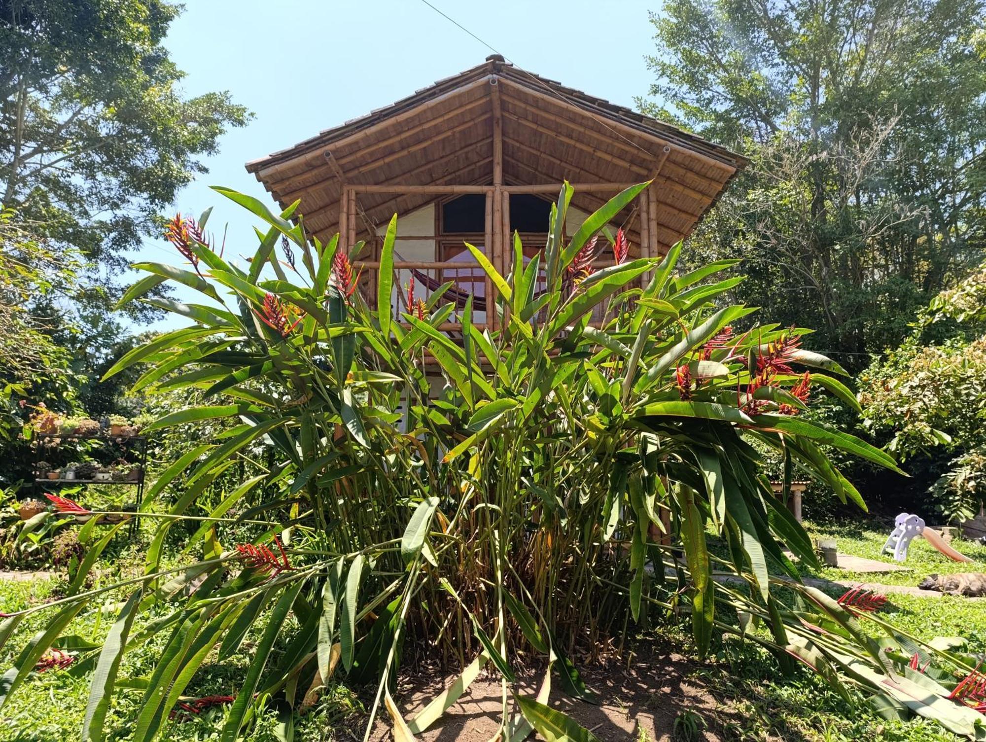 Casa Entera Finca Cometa Сан-Агустин Экстерьер фото