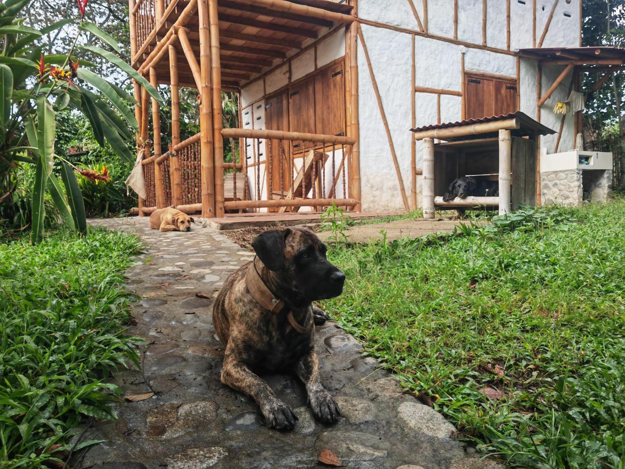 Casa Entera Finca Cometa Сан-Агустин Экстерьер фото